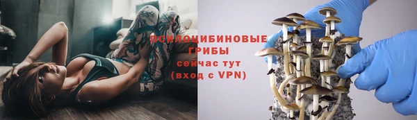 МДМА Беломорск